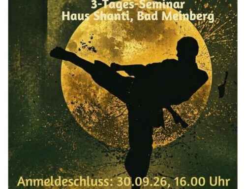KAMPFKUNST! SELBSTVERTEIDIGUNG! SELBSTSICHERHEIT! 3-Tages-Seminar