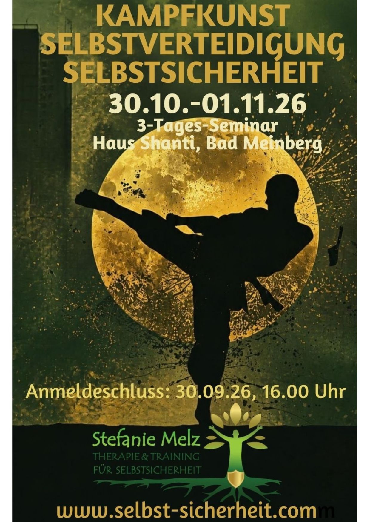 3-Tages-Seminar. Kampfkunst. Selbstverteidigung. Selbstsicherheit. Mit Stefanie Melz in Bad Meinberg